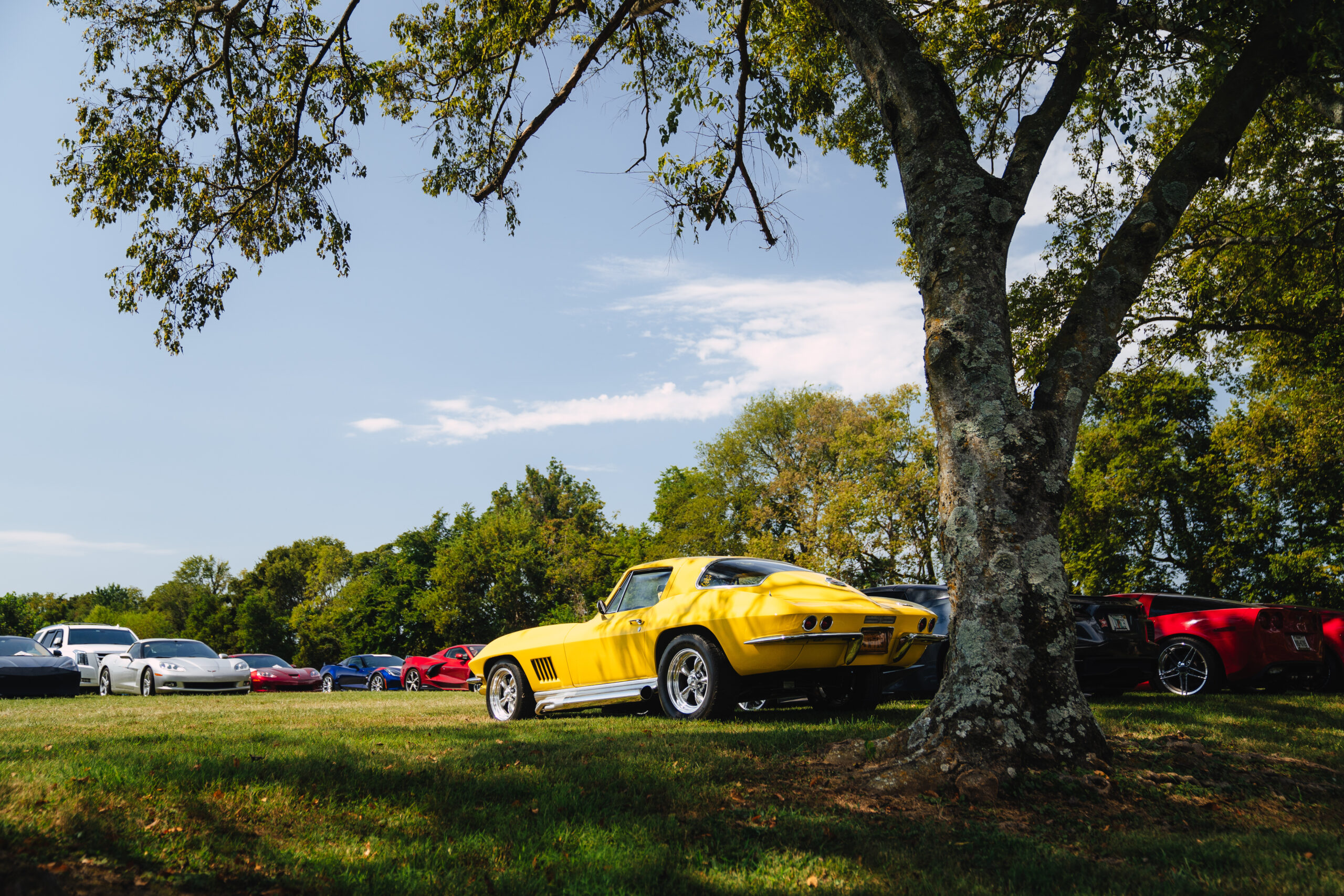 Things to Do in Bowling Green, KY: Corvette Events You Won’t Want to Miss